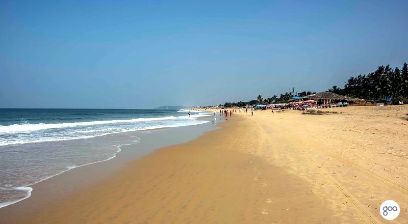 Candolim Beach Image